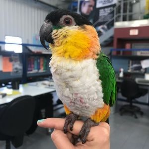 Meet your Posher, Andrea